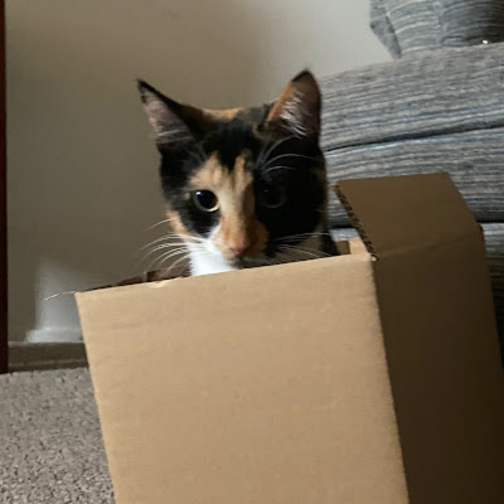 Meet your Posher, Sara